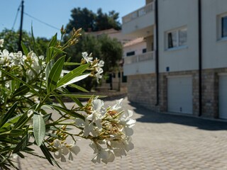 Apartment Mastrinka Features 8