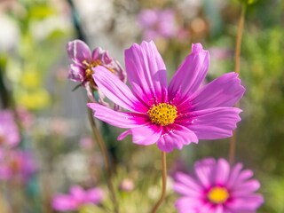 Apartment Trogir Ausstattung 6