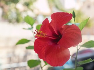 Apartment Trogir Ausstattung 16