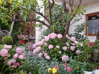 Apartment Trogir Features 13