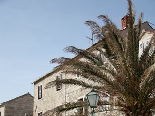 Apartment Pučišća Außenaufnahme 7