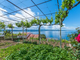 Apartment Nemira Ausstattung 22