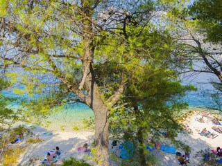 Holiday house Seget Donji Environment 93