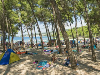 Apartment Primosten Environment 29