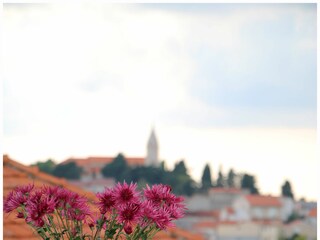 Apartment Primosten Ausstattung 22