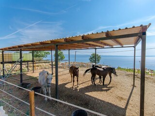 Ferienhaus Podstrana Ausstattung 40