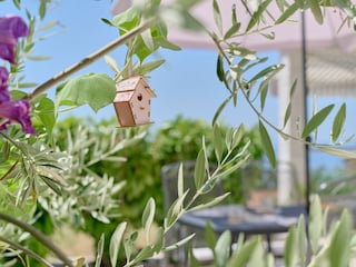 Holiday house Podstrana Features 37