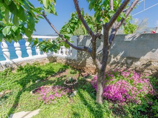 Holiday house Seget Vranjica Features 14