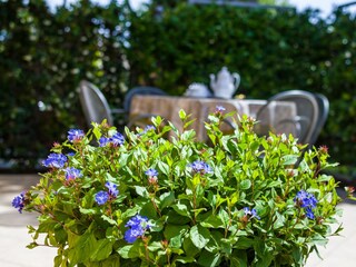 Apartment Zadar Außenaufnahme 5