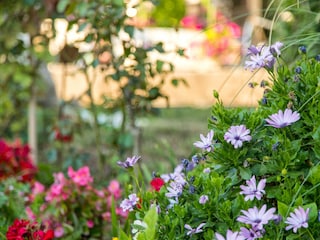 Apartment Stara Novalja Features 2