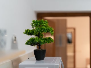 Apartment Stara Novalja Features 22