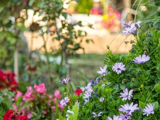 Apartment Stara Novalja Features 18