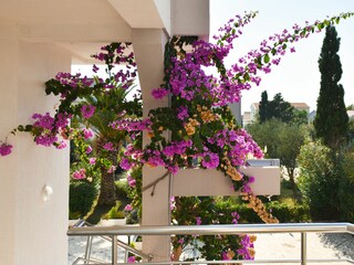 Apartment Stara Novalja Features 31