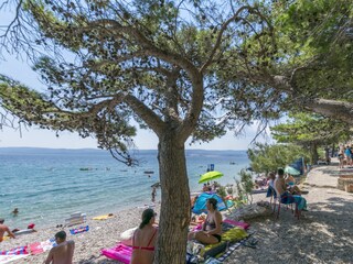 Ferienhaus Ruskamen Umgebung 41