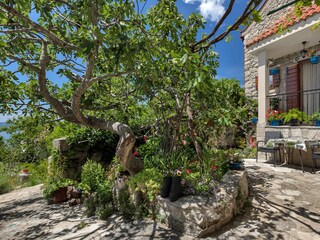 Ferienhaus Tucepi Außenaufnahme 2