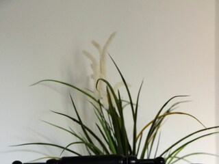 Ferienhaus Stari Grad Ausstattung 5