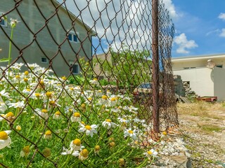 Ferienhaus Marušići Ausstattung 35