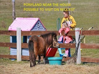 Apartment Murvica Features 24