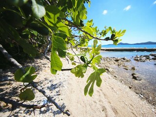 Ferienhaus Biograd Umgebung 21