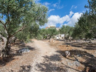 Ferienhaus Zdrelac Umgebung 35