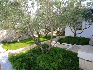 Holiday house Preko Features 22