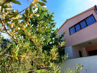 Holiday house Preko Outdoor Recording 6