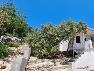 Holiday house Sevid Features 17