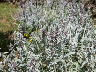 Ferienhaus Svib Ausstattung 44