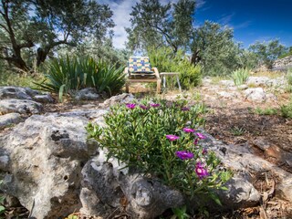 Holiday house Tkon Features 21