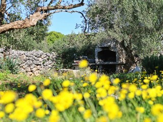 Holiday house Tkon Features 22