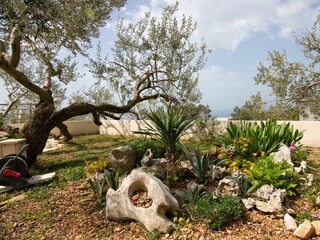 Holiday house Makarska Features 47