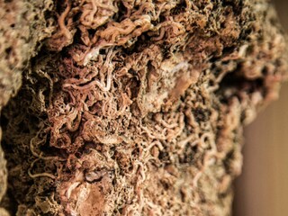 Holiday house Makarska Features 51