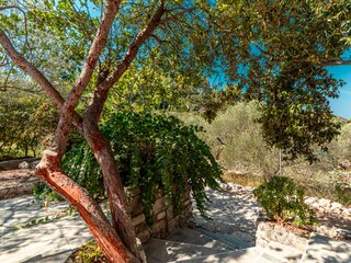 Holiday house Vela Luka Features 8
