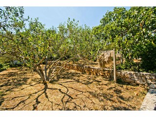 Holiday house Maslinica Features 36
