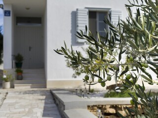 Holiday house Sevid Features 22