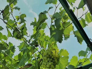 Ferienhaus Postira Ausstattung 9