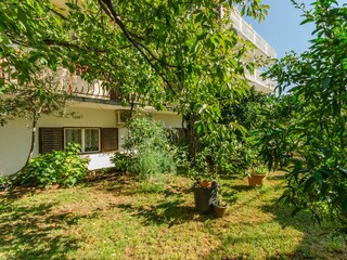 Apartment Brodarica Features 2