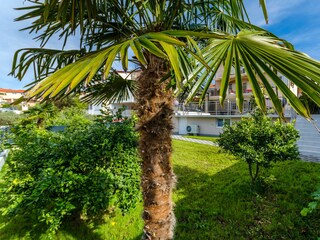 Holiday house Okrug Gornji Outdoor Recording 4