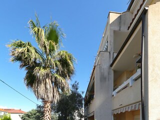 Apartment Sveti Filip i Jakov Außenaufnahme 2