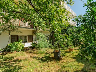 Apartment Brodarica Ausstattung 8