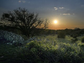 Ferienhaus Potočnica Ausstattung 1