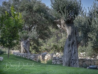 Ferienhaus Potočnica Ausstattung 15