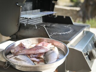 Ferienhaus Potočnica Ausstattung 22