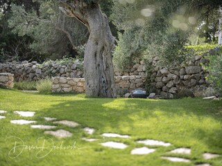 Ferienhaus Potočnica Ausstattung 31