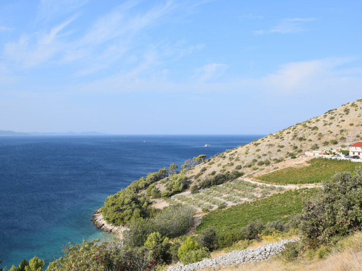 Ferienhaus Nerežišća Ausstattung 38