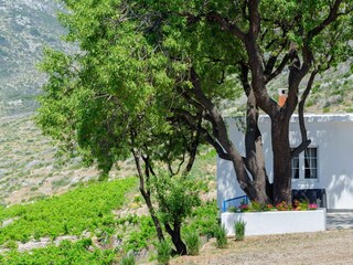 Holiday house Orebic Features 6