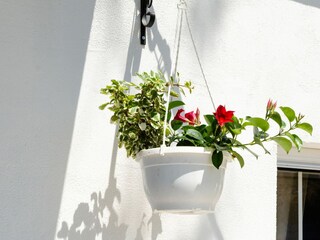 Holiday house Orebic Features 7