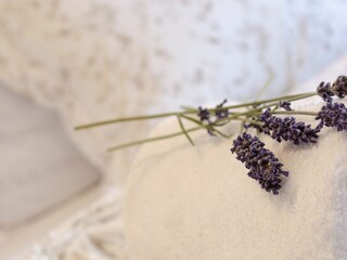 Holiday house Orebic Features 22