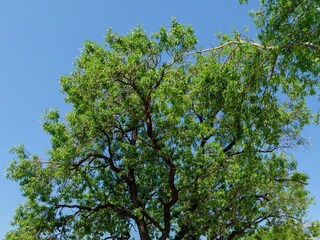 Holiday house Orebic Features 68