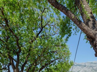 Holiday house Orebic Features 73